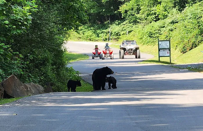 Ashland Resort Picture 9