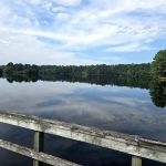 Cabin Lake Recreation