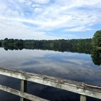 Cabin Lake Recreation ico