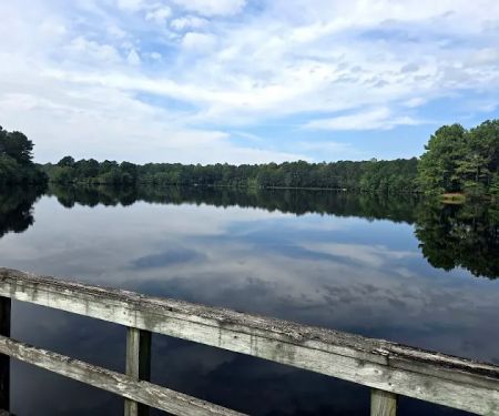 Cabin Lake Recreation