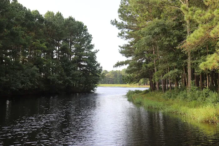 Cabin Lake Recreation Picture 4