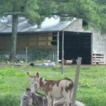 By the Creek Campground