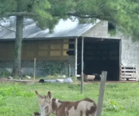 By the Creek Campground