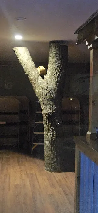 Piney Grove Rv Campground Picture 2