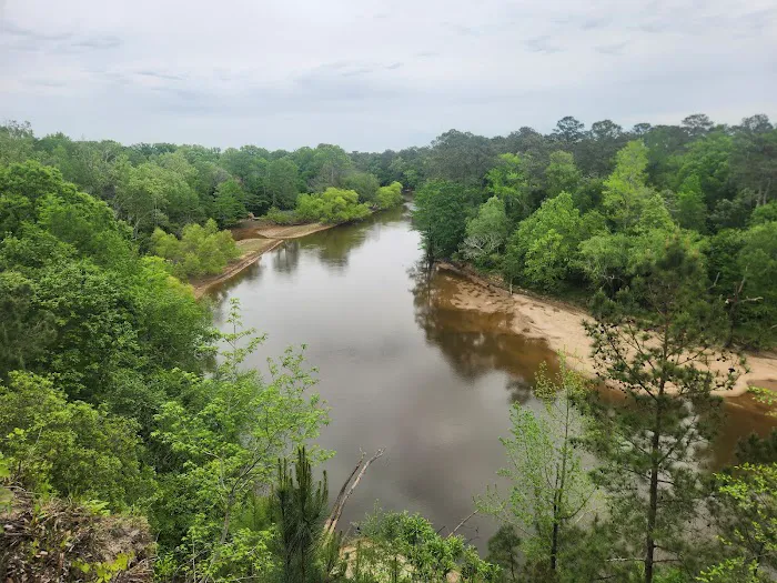 Cliffs of the Neuse Campground Picture 6