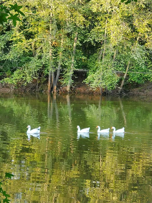 Wooley Swamp Farms Picture 4