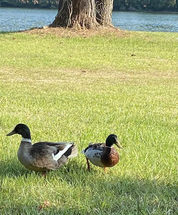 Lake Leamon Picture 9