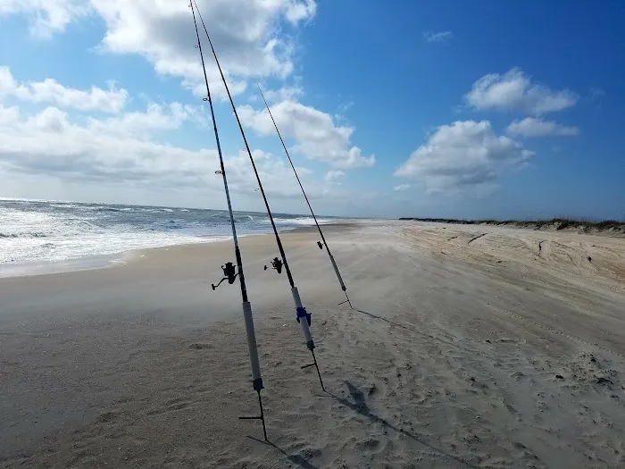 Great Island Cabin Camp Picture 3