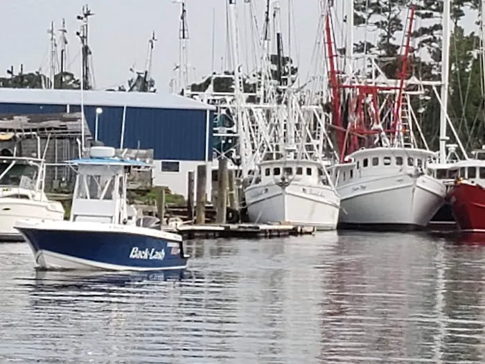 Millis Family Campground Picture 2