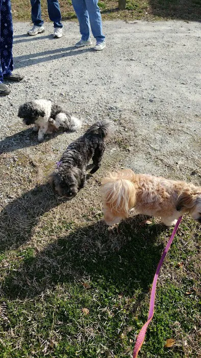 Millis Family Campground Picture 9