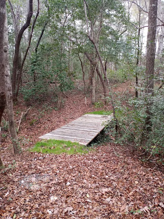 Willows Landing Campground Picture 3