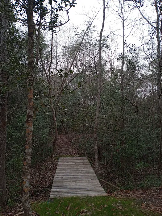 Willows Landing Campground Picture 4