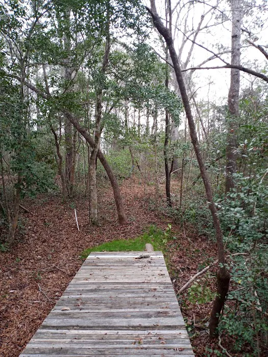 Willows Landing Campground Picture 2