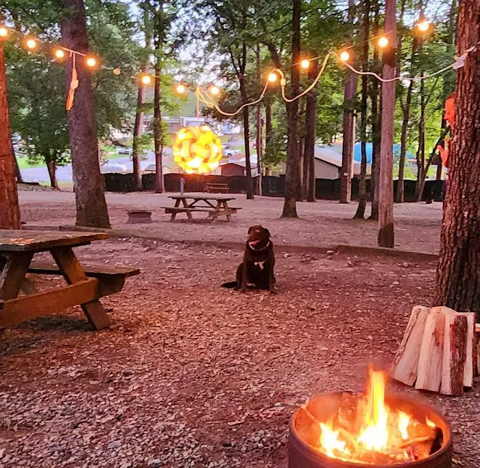 Lake Gaston Americamps Picture 9