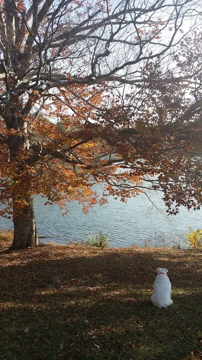 Americamps Lake Gaston Picture 8