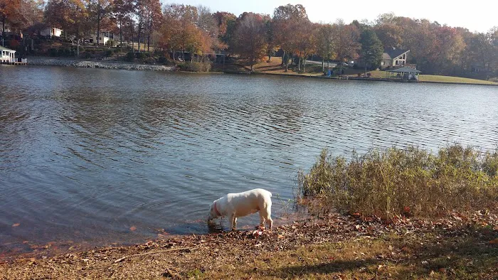 Americamps Lake Gaston Picture 4