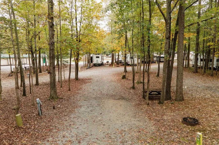 Emporia / I-95 KOA Holiday Picture 3