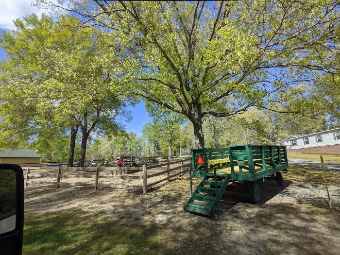 Emporia / I-95 KOA Holiday Picture 6