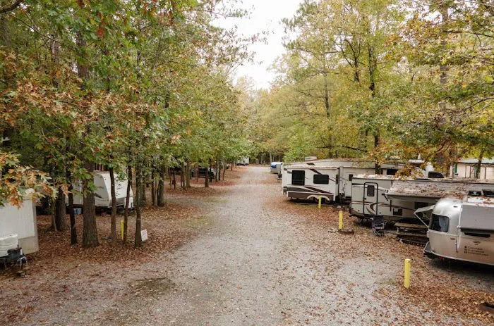 Emporia / I-95 KOA Holiday Picture 8