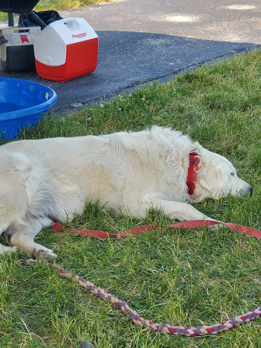 Camp Perry Campground Picture 5