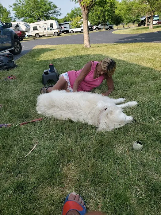 Camp Perry Campground Picture 10