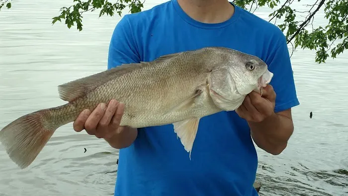 Harbor Landing Campground Picture 9