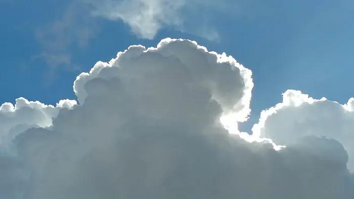 Harbor Landing Campground Picture 7