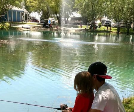 Wild Wings Campground & Marina