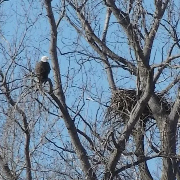 Wild Wings Campground & Marina Picture 4