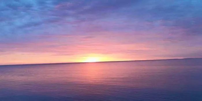 Wild Wings Campground & Marina Picture 8