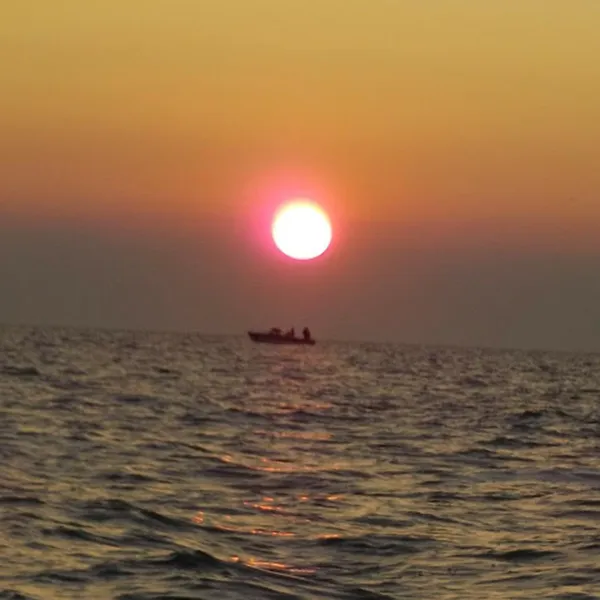 Wild Wings Campground & Marina Picture 6