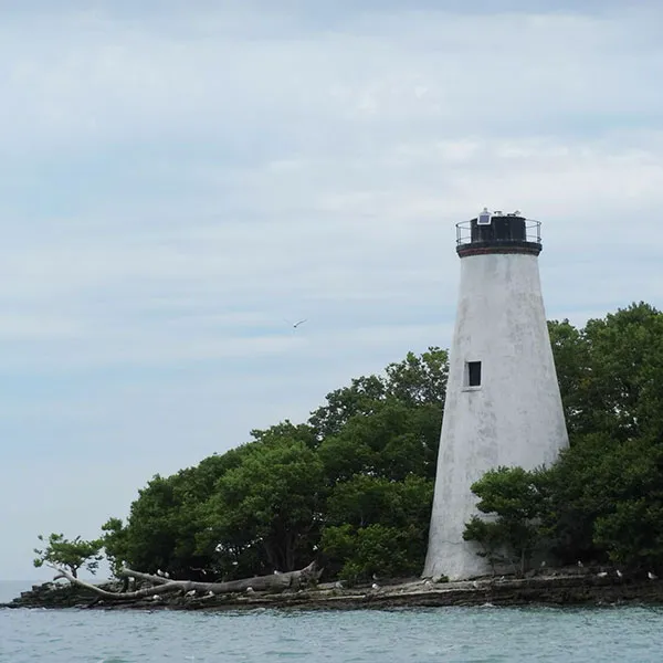 Wild Wings Campground & Marina Picture 2