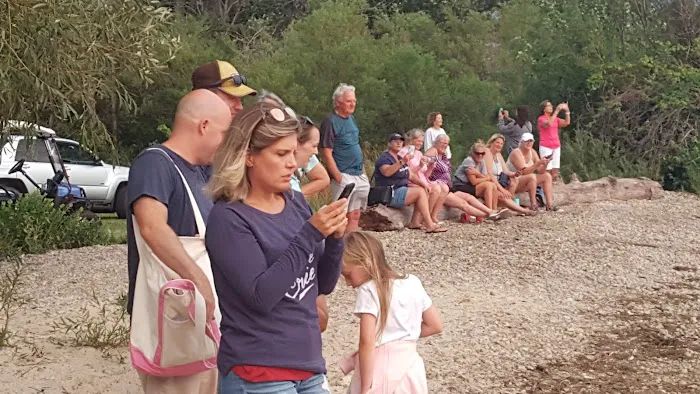 Middle Bass Island State Park Campground Picture 6