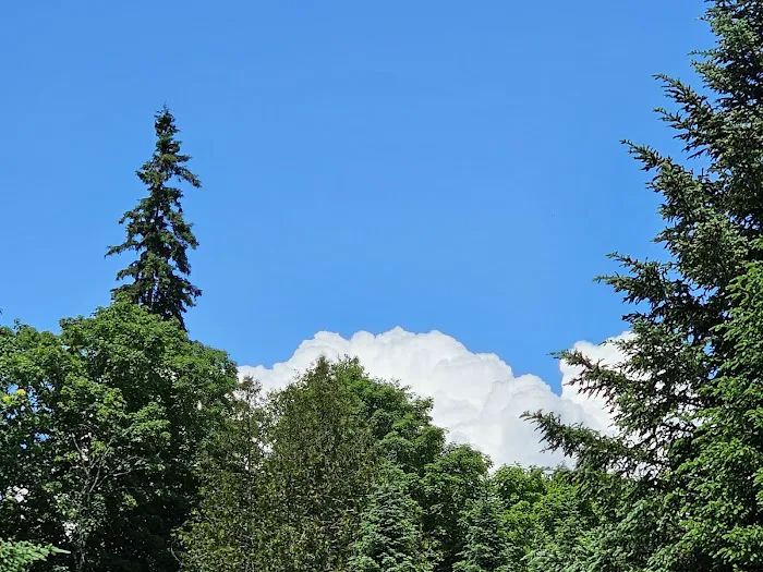 Fish River Falls Campsite Picture 1