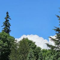 Fish River Falls Campsite ico