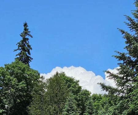 Fish River Falls Campsite