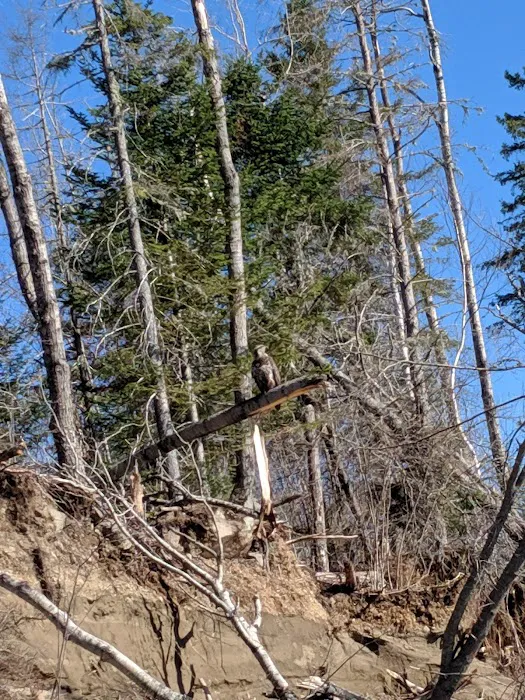 Camp Nomacca Picture 9