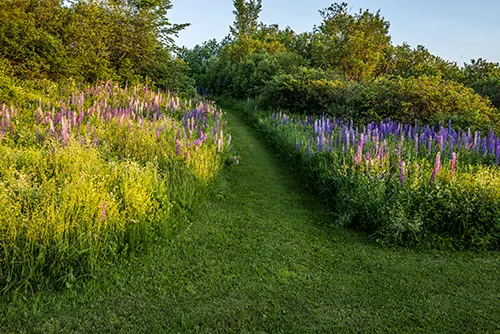 Arndt's Aroostook River Lodge Picture 4