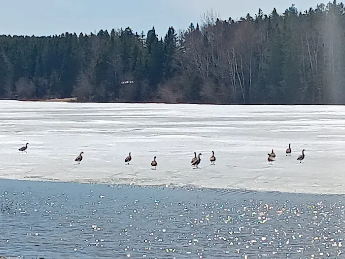 Trafton Lake Campground Picture 7