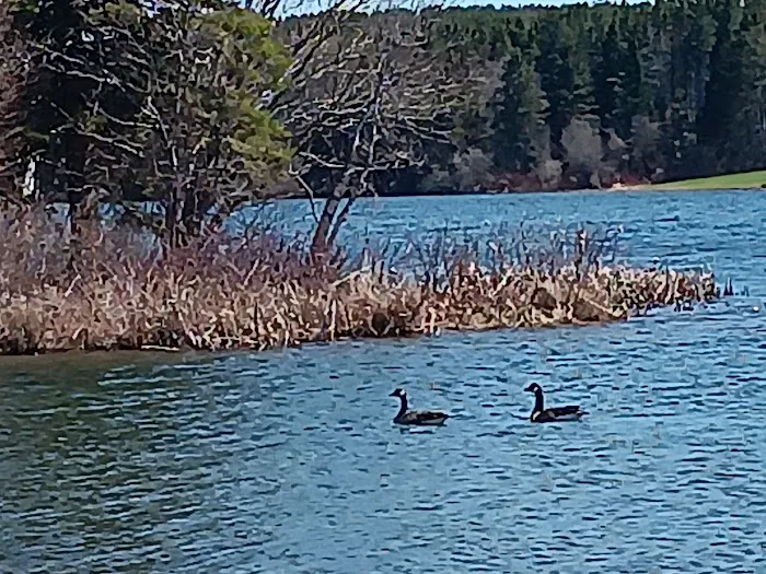 Trafton Lake Campground Picture 4