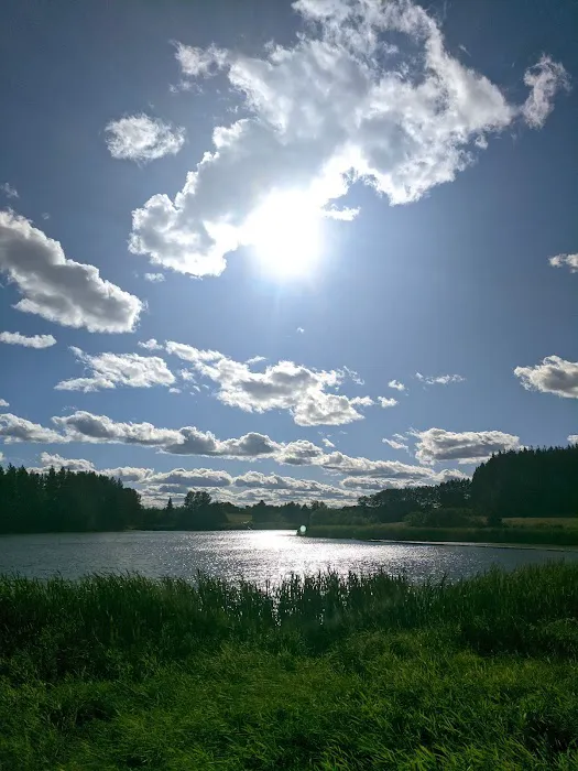 Trafton Lake Campground Picture 2