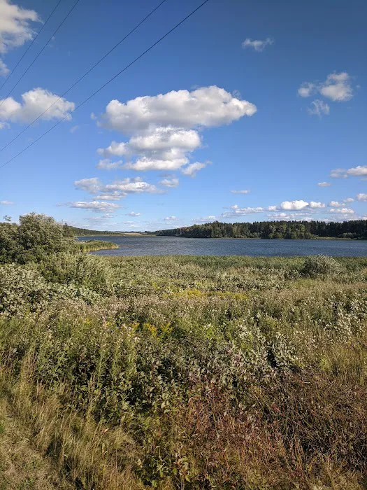 Trafton Lake Campground Picture 8