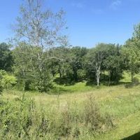 Little Darby Outdoors ico