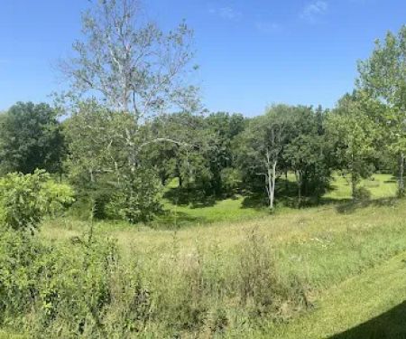 Little Darby Outdoors