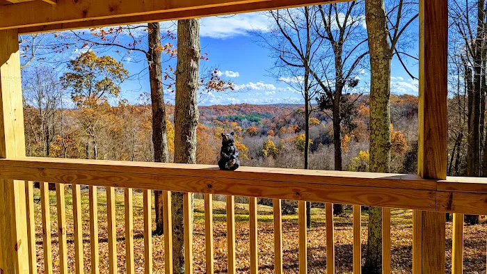 Honey Bear Cabin Picture 1