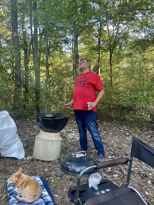 Chandler's Enchanted Acres Picture 5