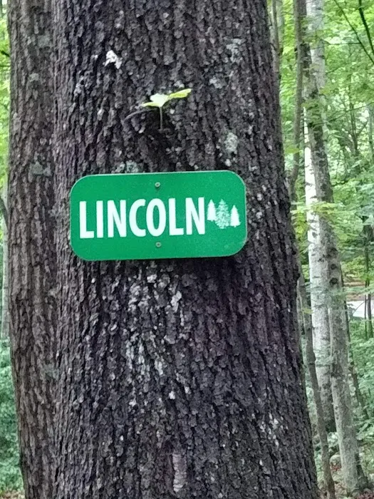 Cabins by the Cave - Lincoln Cabin Picture 3