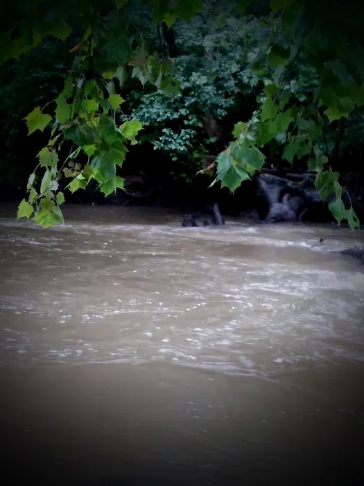 Deer Creek Camping Resort Picture 4