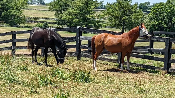 Deer Creek State Park Campground Picture 1