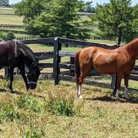 Deer Creek State Park Campground ico